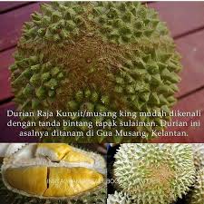 Pernakah anda mendengar nama sunan, pasti ada banyak nama kanjeng sunan. Nak Fakta On Twitter Durian Musang King Mempunyai Tanda Bintang Tapak Sulaiman Nakfakta Nakbebel