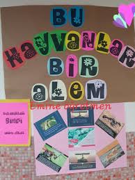 Emine Ogretmen Karinca Tanitimi Ale Eminem Hayvanlar