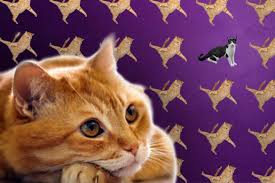 Pisica care te ataca inseamna dusmani ce vor a vedea o pisica in visul tau simbolizeaza un spirit independent, sexualitate feminina, creativitate si putere. Interpretarea Viselor Ce InseamnÄƒ DacÄƒ Visezi Pisici Ce Spun Astrele