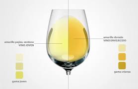Que Significado Tiene El Color Del Vino Blanco Vino Blanco Vino Vinos Y Quesos