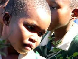 Lions, Cheetahs and Wolves: Up Close with Miranda Wallace