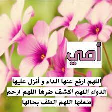 غرد بصورة عرب عرب فوتو صور صورة صور عرض صورة عرض عرض نشر الناس الرائيه تلمبر تلمبرات اسلاميات رمزيات اسلاميه ديني رمزيات رمزية رمزيات ب plants