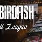 Birdfish Fall Pinball League  — BIRDFISH event image