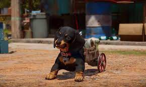 Guerrilla hideouts, church's, military bases are all . Far Cry 6 How To Find All Amigos