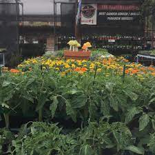 We look forward to seeing you all!! Parkview Nursery Riverside Home Facebook