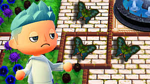 What flowers attract butterflies acnh. My Butterfly Garden In Animal Crossing New Horizons Youtube