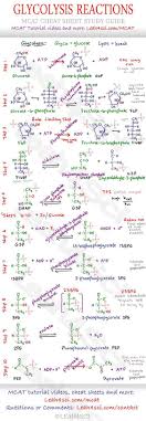 Glycolysis Steps Mcat Study Guide Cheat Sheet Mcat Premed Mcat Study Biochemistry Notes Science Chemistry