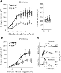 In addition to the congenital ocular symptoms, patients may suffer from other systemic symptoms. Plos One Long Term Consequences Of Developmental Vascular Defects On Retinal Vessel Homeostasis And Function In A Mouse Model Of Norrie Disease