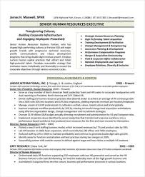 24 Best Executive Resume Templates Pdf Doc Free Premium Templates