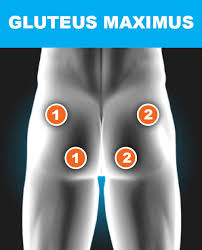 Electrode Placement Chart Tens Ems For Pain Relief