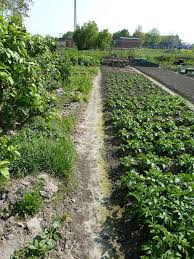 Join now to find your relatives. Volkstuin Hoogkerk Mapio Net