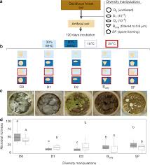 Stages of soil formation 4. Microbial Diversity Drives Carbon Use Efficiency In A Model Soil Nature Communications