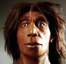 Neandertaler arbeiteten in der höhle über jahrtausende. Neandertaler Fortpflanzung Mit Menschen War Erfolglos Welt