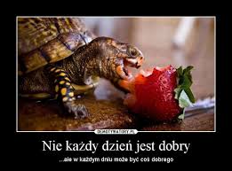 Obrazek dodany przez użytkowniczkę