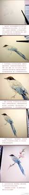 手绘水彩花 来自尤饭的图片分享 堆糖网 watercolor birds tutorial watercolor bird watercolor