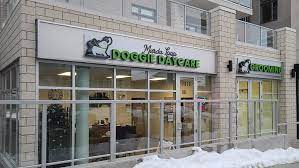 Mantra marda loop continues community's expansion plans. Marda Loop Doggie Daycare Spa Home Facebook