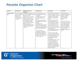 parasite organism chart genova diagnostics gdx pages