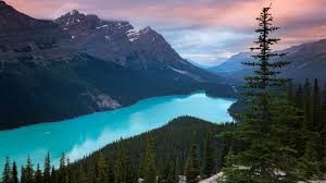 We did not find results for: Pine Trees Landscape Ultra Hd Mountains Forest Hd Wallpaper Wallpaper Flare
