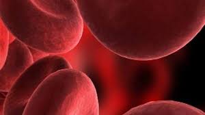 Image result for Blood Doping