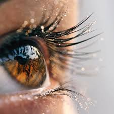 Pin By Abdelrhman Naga On Photography Human Eye Eye Photography Aesthetic Eyes Eye Pictures