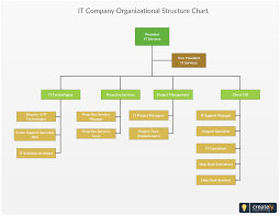 It Company Organizational Structure Chart Editable Org
