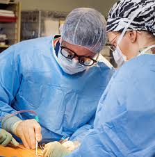 Fat and stem cell technology offer tremendous clinical applications in plastic surgery. Stem Cell Study Uc Davis Vascular Center