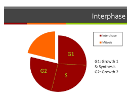 How Do You Grow Give Examples And Be Specific Ppt Download