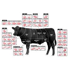 Beef Cuts Of Meat Butcher Chart Cattle Diagram Poster Wall Art 24x36