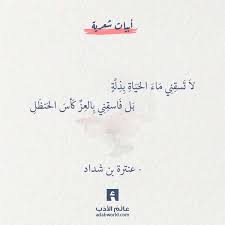 لا تسقني ماء الحياة بذلة عنترة بن شداد عالم الأدب اقتباسات من الشعر العربي والأدب العالمي home decor decals decor home decor