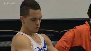 Petrounias climb to the top of gymnastics Eleftherios Petrounias Alchetron The Free Social Encyclopedia