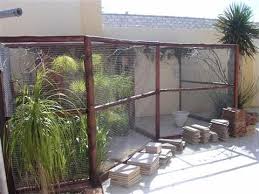Bird Aviary For Sale South Africa 1000 Ideas About Bird Aviary On Pinterest Aviary For Sale Bird Aviariesideas Bird Aviary Aviary For Sale Bird Houses