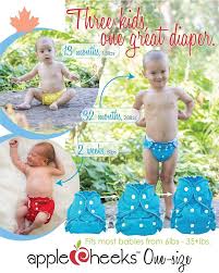 one size diaper system applecheeks