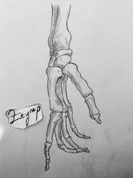 Eskiz Cizim Iskelet Eskiz Cizim Iskelet