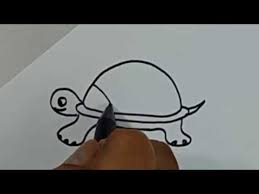 Belajar Cara Menggambar Binatang Kura Kura Dengan Mudah Youtube