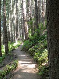 Pacific Northwest Trail Wikipedia