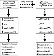 Image result for Bromocriptine