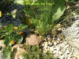 Anlegen Aufbauen Einbauen Eines Gfk Fertigteich Anleitung Teichbecken Setzen Tutorial Fertigteich Und Teichschale Setzen How Raised Pond Plants Pond