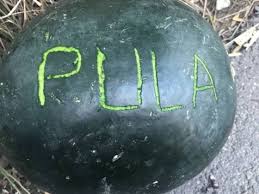 Cazare romania > mersul trenurilor din romania > sosiri dorohoi. Urgent Trebuie SÄ Ne LuÄm Cfr Ul Inapoi Viorel IliÈoi