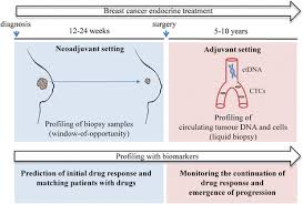 Although the percentage of cases in men is much lower than in women, male breast cancer accounts for a por. Accurate Prediction Of Response To Endocrine Therapy In Breast Cancer Patients Current And Future Biomarkers Breast Cancer Research Full Text
