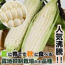 Hawaiians often sought kamapua'a as an ally during war and used his adventures to explain various natural phenomena. Buy Mail Mail Delivery Kokukaen Seed Vegetable Tane Open Air Suppressed Cultivation Corn F1 Pure White 1 Bag 30ml Shipping Is Genuine Only If From Kokukaen Co Ltd Online In India B0896t2crw