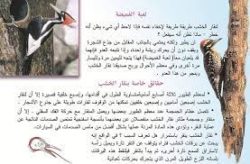حقائق شي قة عن نقار الخشب book cover books au s