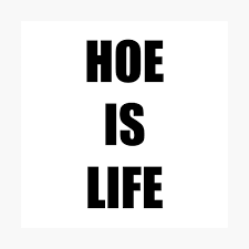 Find the perfect quotation, share the best one or create your own! Hoe Is Life Funny Sayings Quotes Youth Slogans Poster By Funnysayingstee Redbubble