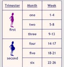The chinese gender calendar or birth chart is widely used to predict baby's sex. Pregnancy Chart In Months Carbe