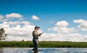 Most modern fly lines have five parts. Understanding Fly Line Tapers And Diagrams Fly Fishing Gink And Gasoline How To Fly Fish Trout Fishing Fly Tying Fly Fishing Blog