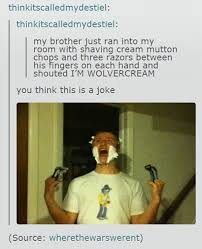 Funny brother and sister quotes. 17 Hilarious Things People Said About Their Siblings On Tumblr