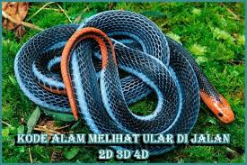We did not find results for: Kode Alam Melihat Ular Di Jalan 2d 3d 4d Erek Erek 2021