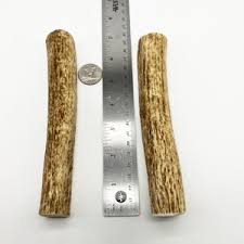 Elk Antler Premium Dog Chew Toy Jumbo XXL Whole