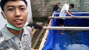 Cara Mengganti Air Di Kolam Lele Youtube