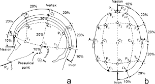2,527,989 likes · 57,735 talking about this · 30,559 were here. Posici On De Los Electrodos Acorde Al Sistema Internacional 10 20 Download Scientific Diagram