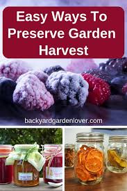 Spoon 1 tablespoon chopped fresh herbs into each compartment of an ice cube tray. 3 Easy Ways To Preserve Garden Harvest